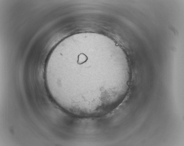 X0000115600146200911241602