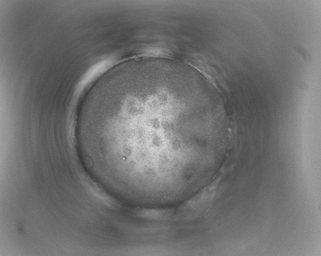 X0000115600149200911241602