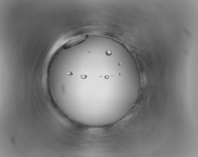 X0000115600150200911241602