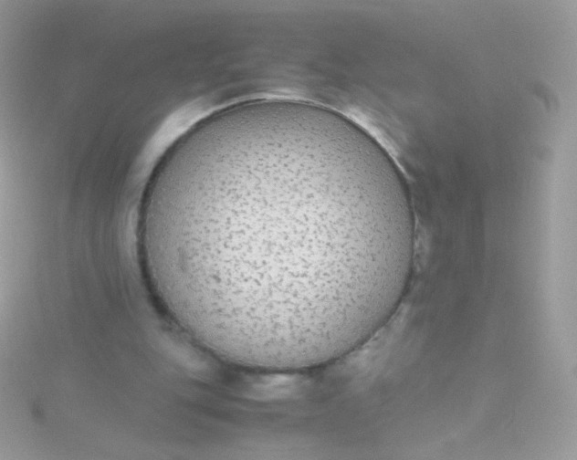 X0000115600151200911241602