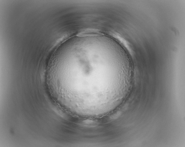 X0000115600153200911241602