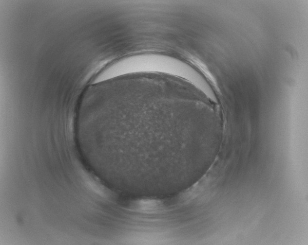 X0000115600154200911241602