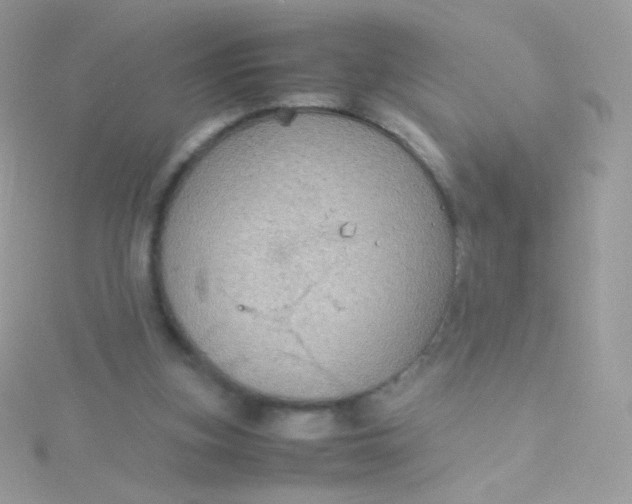 X0000115600155200911241602