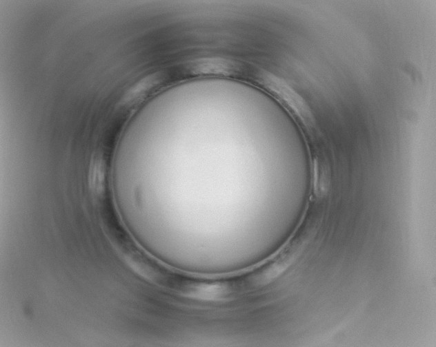 X0000115600157200911241602