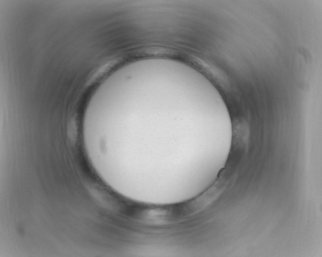 X0000115600158200911241602