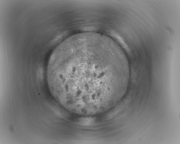 X0000115600161200911241602