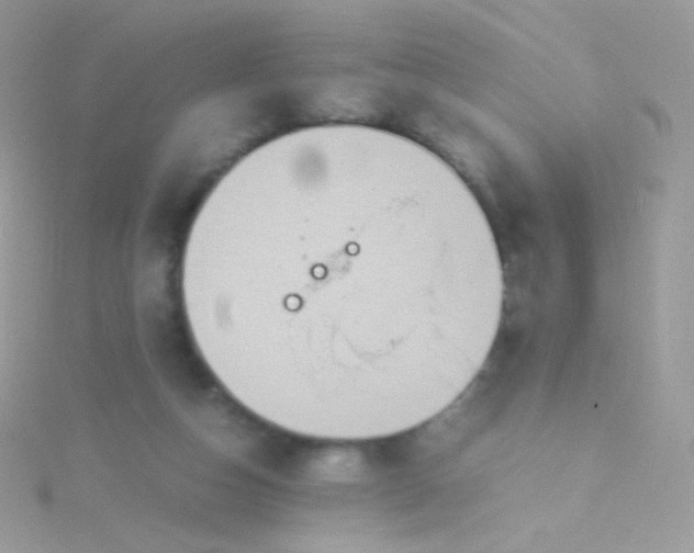 X0000115600162200911241602