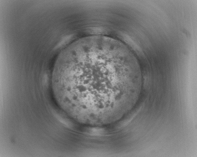 X0000115600165200911241602