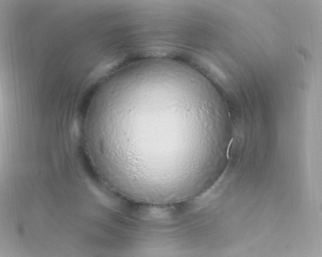 X0000115600166200911241602