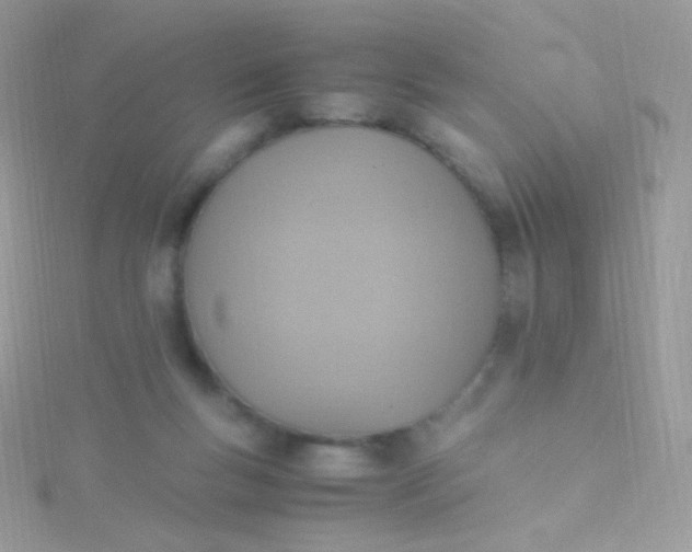 X0000115600167200911241602