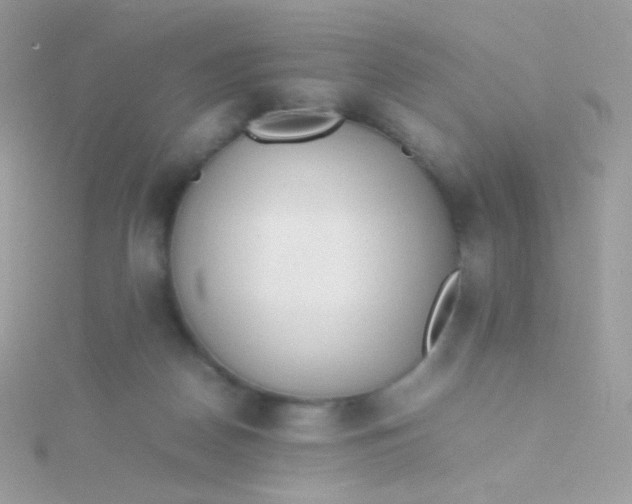 X0000115600170200911241602