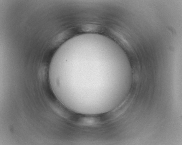 X0000115600171200911241602