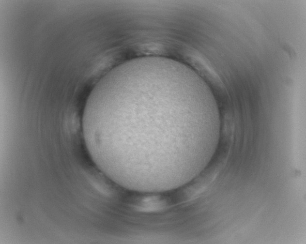 X0000115600173200911241602