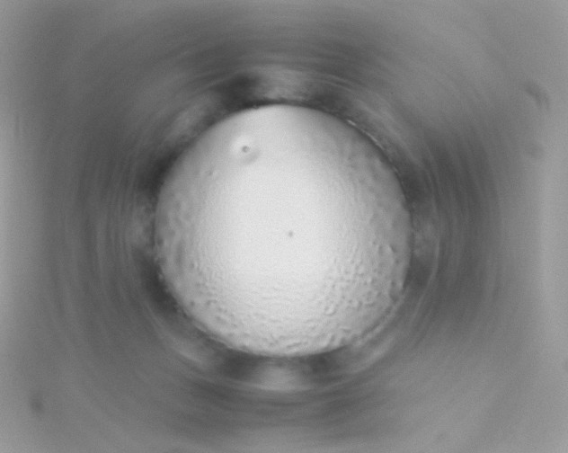 X0000115600175200911241602