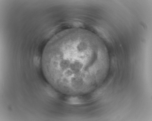 X0000115600177200911241602