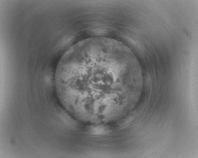 X0000115600181200911241602