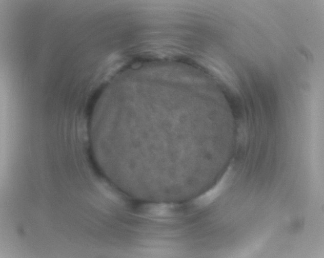 X0000115600182200911241602