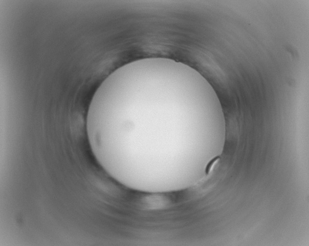 X0000115600183200911241602