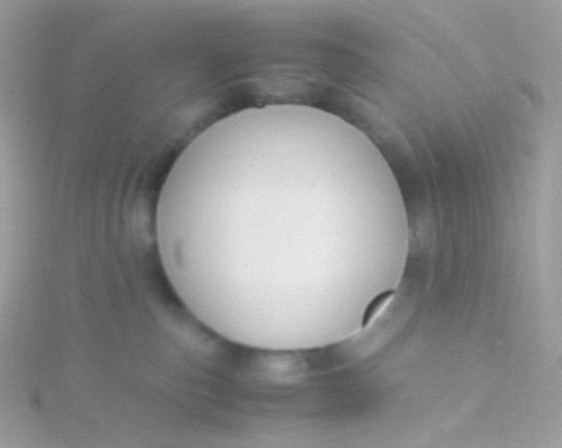 X0000115600187200911241602