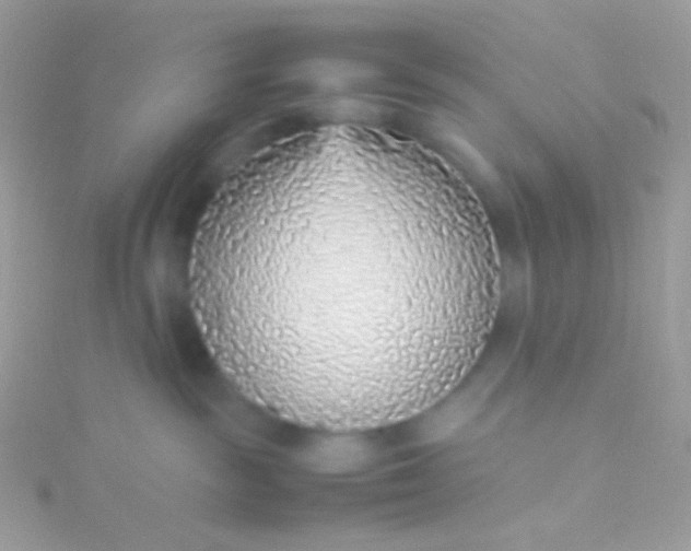 X0000115600189200911241603