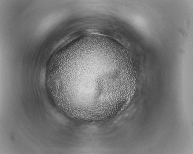 X0000115600194200911241602