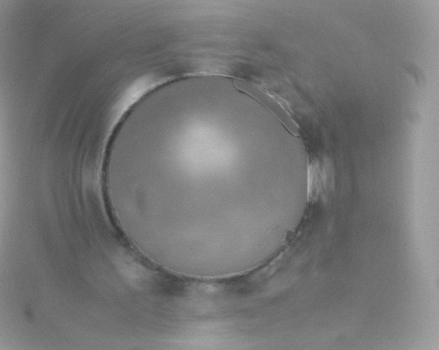 X0000115600195200911241602