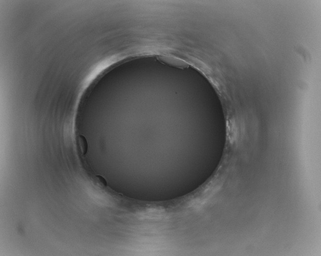 X0000115600196200911241602