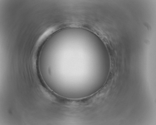 X0000115600197200911241602