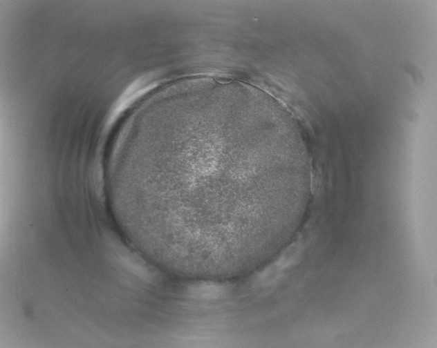 X0000115600198200911241602