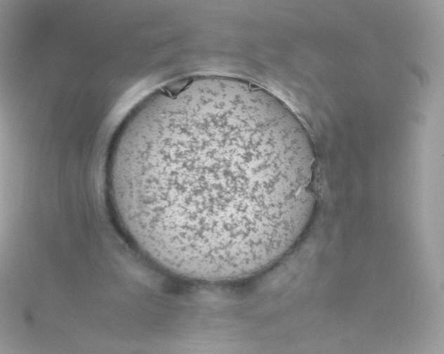 X0000115600199200911241602