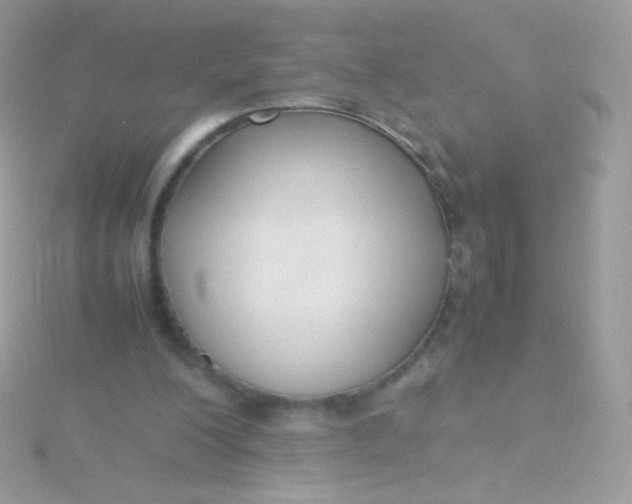 X0000115600200200911241602