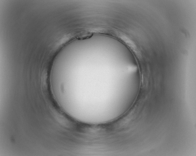 X0000115600201200911241602