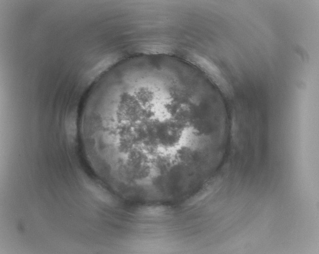 X0000115600202200911241602