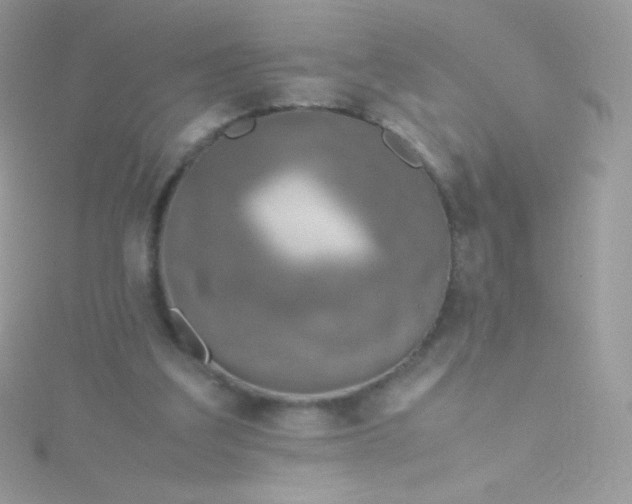 X0000115600203200911241602