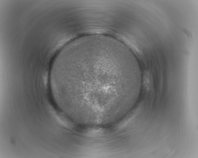 X0000115600206200911241602