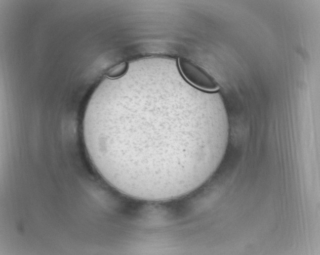 X0000115600207200911241602