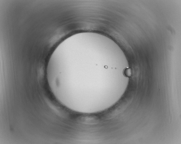 X0000115600208200911241602