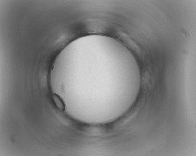 X0000115600209200911241602