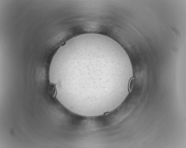 X0000115600211200911241602