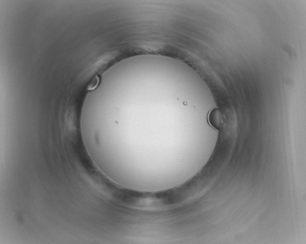 X0000115600212200911241602