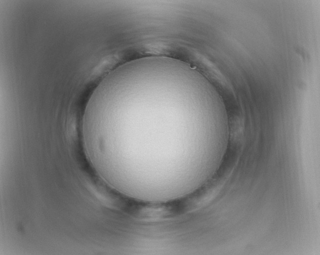 X0000115600213200911241602