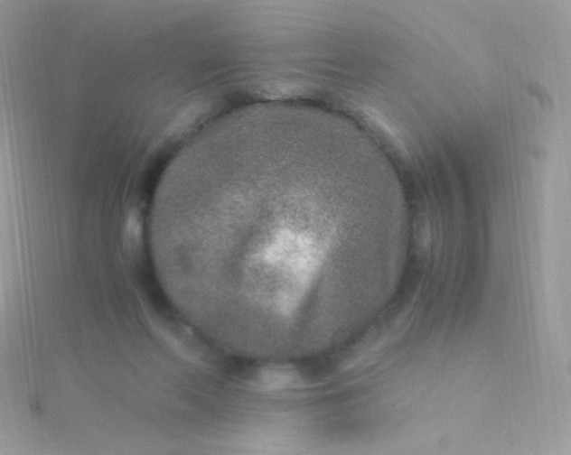 X0000115600214200911241602