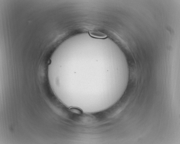 X0000115600215200911241602