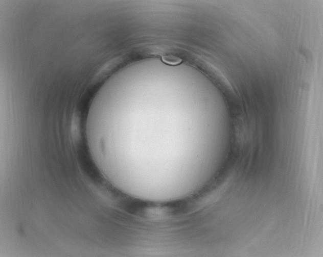 X0000115600216200911241602