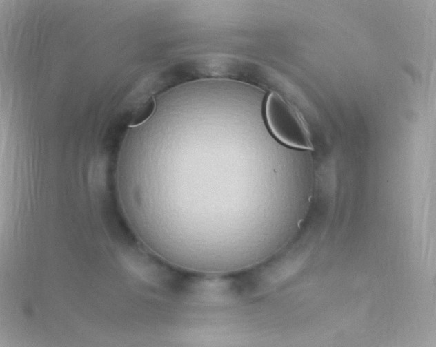 X0000115600217200911241602