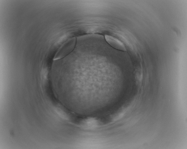 X0000115600219200911241602