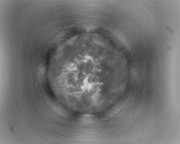 X0000115600222200911241601