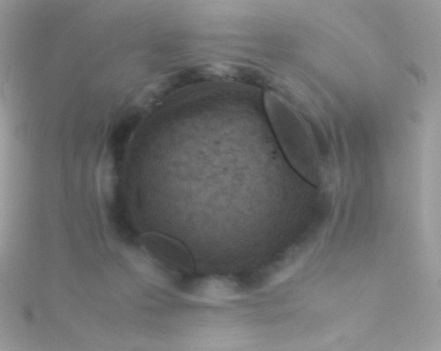 X0000115600223200911241601