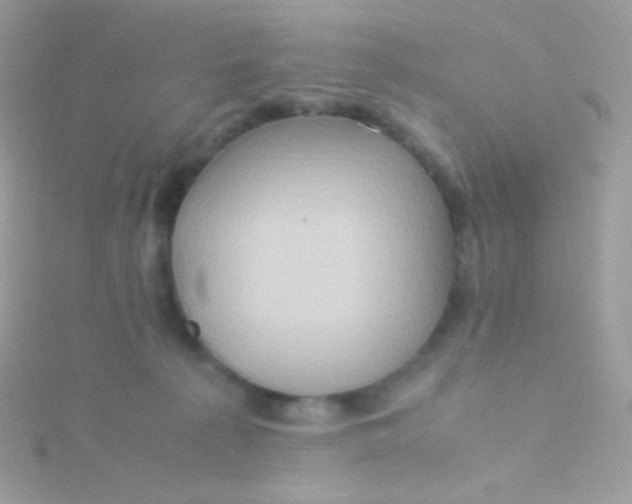 X0000115600225200911241601