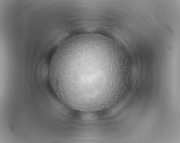 X0000115600230200911241601